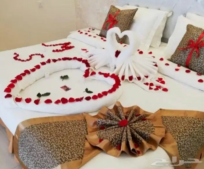 طريق المدينه العسكري بجوار مستوصف المهيدب الاسنان 13