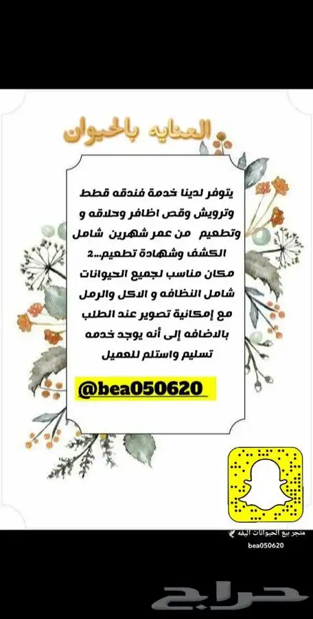 قطط طيور سلااحف اسماك فندقه قطط مستلزمات هامستر بط رمل اكل 14