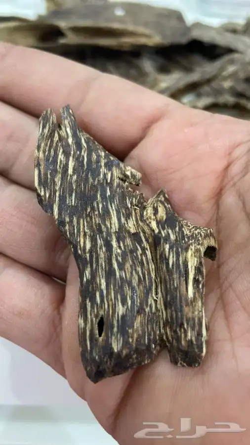 عود فيتنامي طبيعي دبل سوبر 0