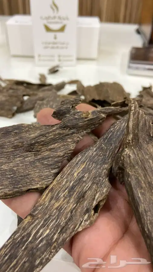 عود فيتنامي طبيعي دبل سوبر 1