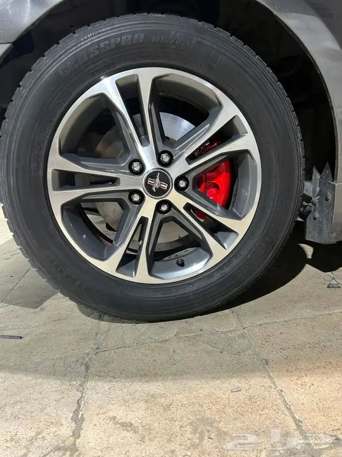 رش مطفي رش جنوط رش ديكورات 28