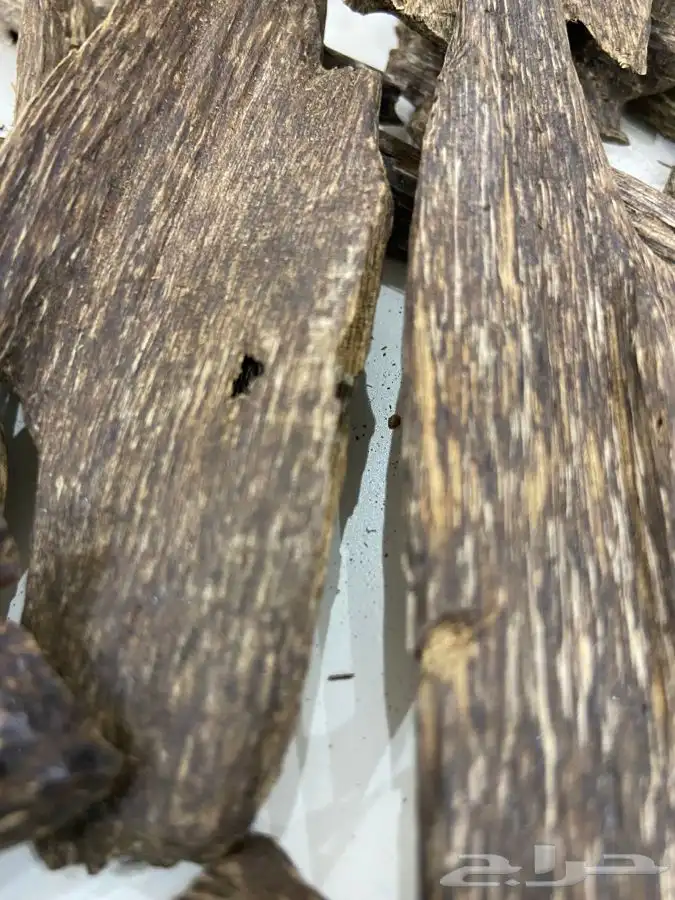 عود فيتنامي طبيعي دبل سوبر 4