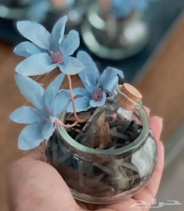 توزيعات مواليد توزيعات زواجات 20