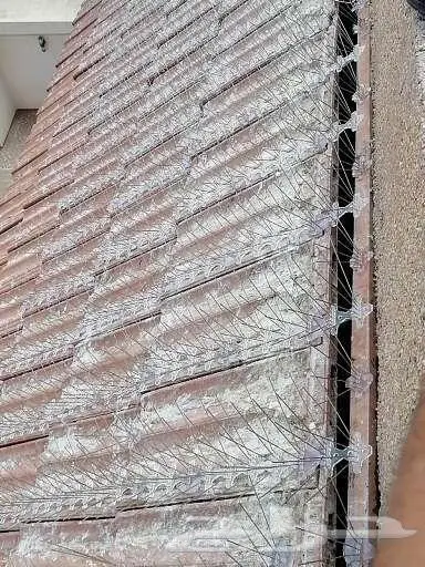 تركيب شبك مانع الحمام بالمدينة 0536591696 13