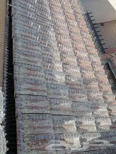 تركيب شبك مانع الحمام بالمدينة 0536591696 14