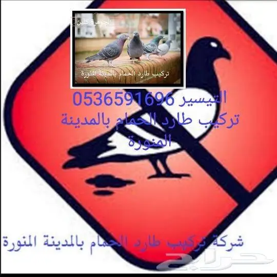 تركيب شبك مانع الحمام بالمدينة 0536591696 29