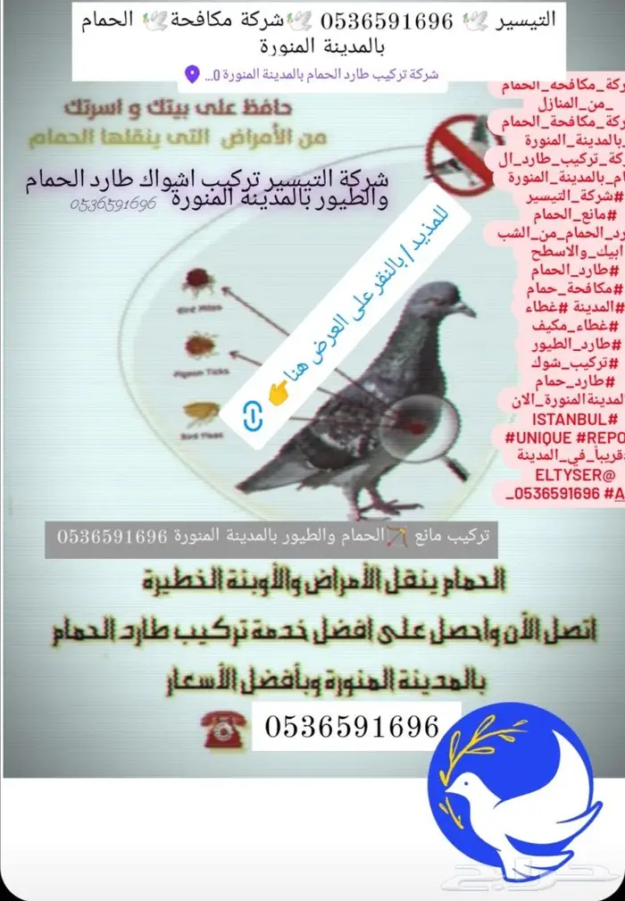 تركيب شبك مانع الحمام بالمدينة 0536591696 1