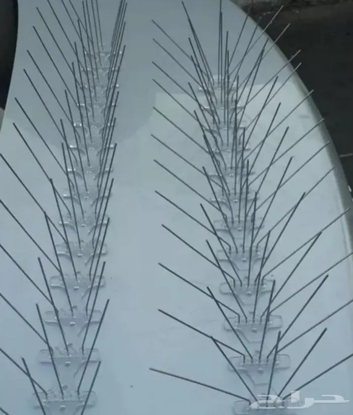 تركيب شبك مانع الحمام بالمدينة 0536591696 0