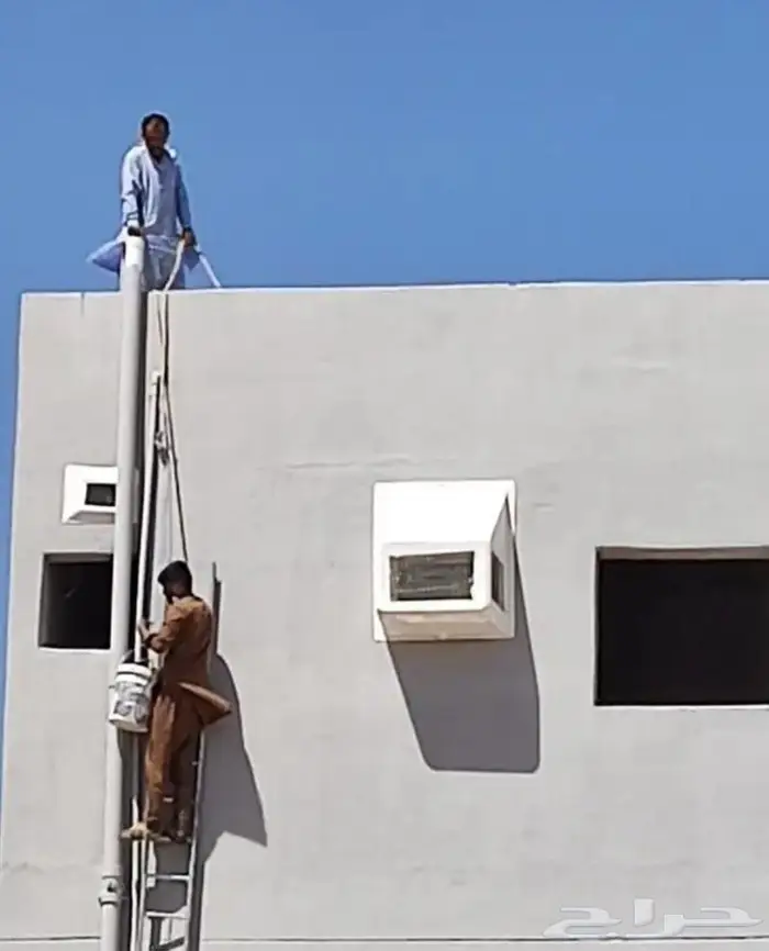 تركيب شبك مانع الحمام بالمدينة 0536591696 9