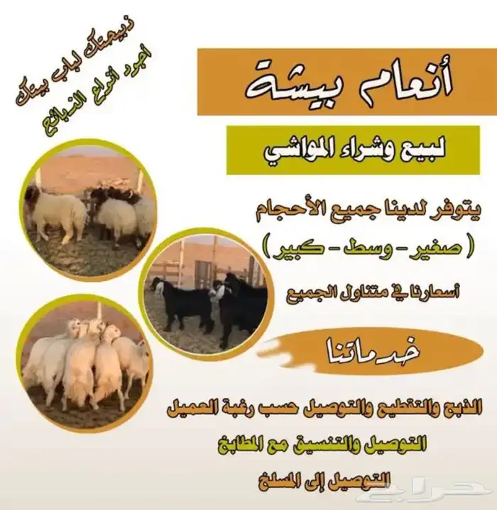 ذبايح مسلوخه جاهزه تجيك لين حد بيتك 2