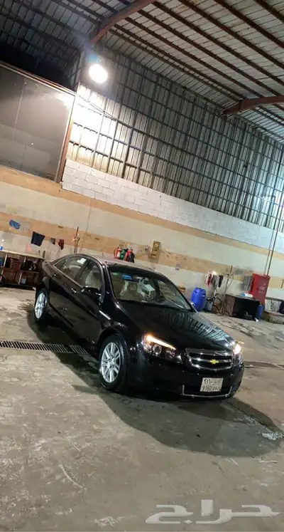 تم البيع الله يبارك للمشتري 0