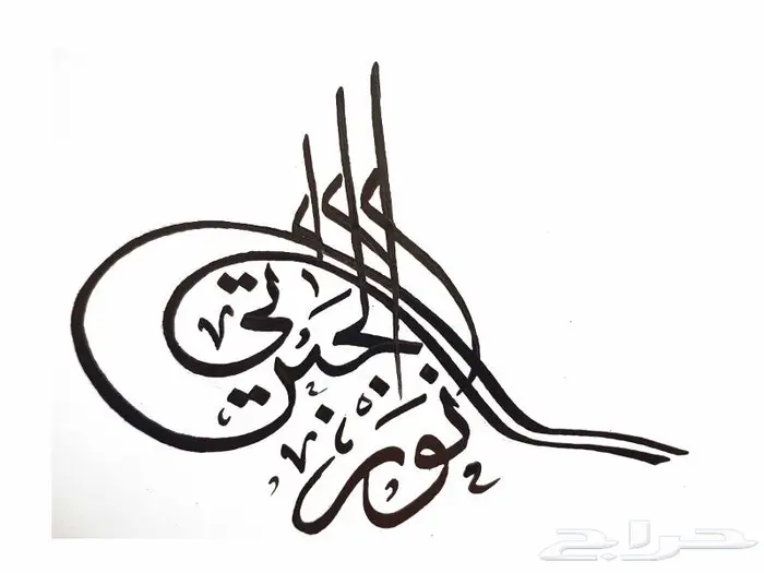 خطاط ورسام وعمل مجسمات 19