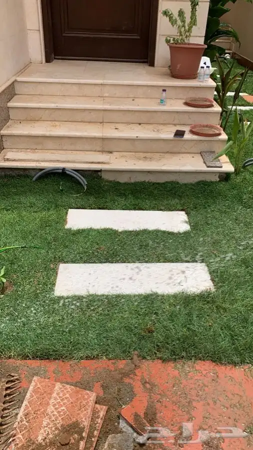 ثيل انجيله عشب اخضر طبيعي 23