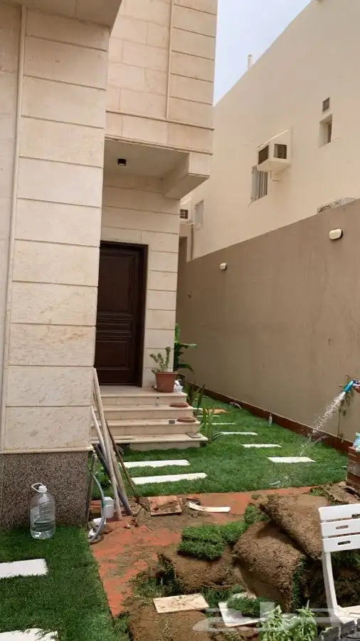 ثيل انجيله عشب اخضر طبيعي 24