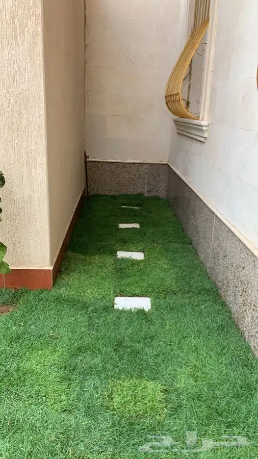 ثيل انجيله عشب اخضر طبيعي 22