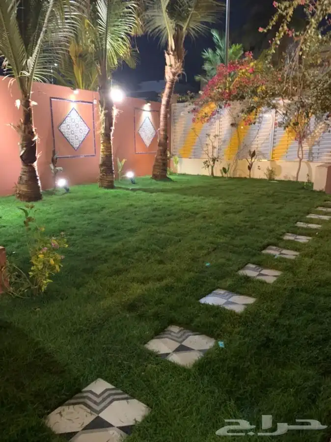 ثيل انجيله عشب اخضر طبيعي 15