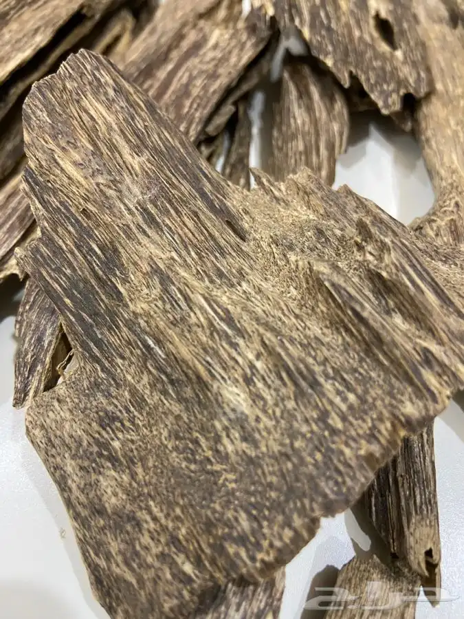 عود طبيعي بيكانبارو نكهة الماليزي دبل سوبر واعلى 1