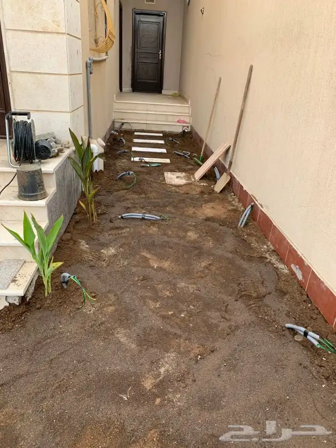 ثيل انجيله عشب اخضر طبيعي 18