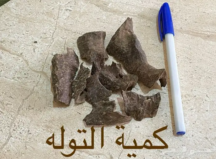 عود فيتنامي طبيعي سوبر مرتفع 5