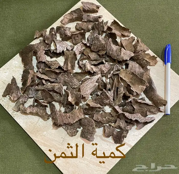عود فيتنامي طبيعي سوبر مرتفع 3