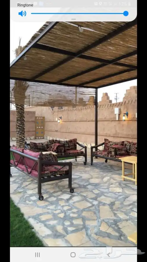 خيزران حسير-بامبو قصب 13