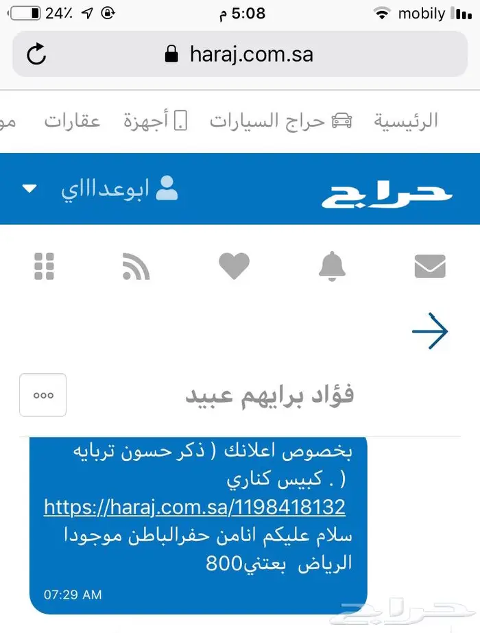 ذكر حسون تربايه كبيس كناري . تم البيع 4