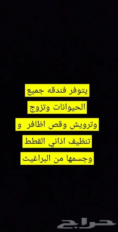 قطط سلااحف اسماك هامستر فندقه تزوج تريش قطط قص اظافر 9