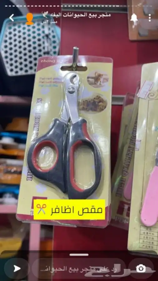 قطط سلااحف اسماك هامستر فندقه تزوج تريش قطط قص اظافر 20