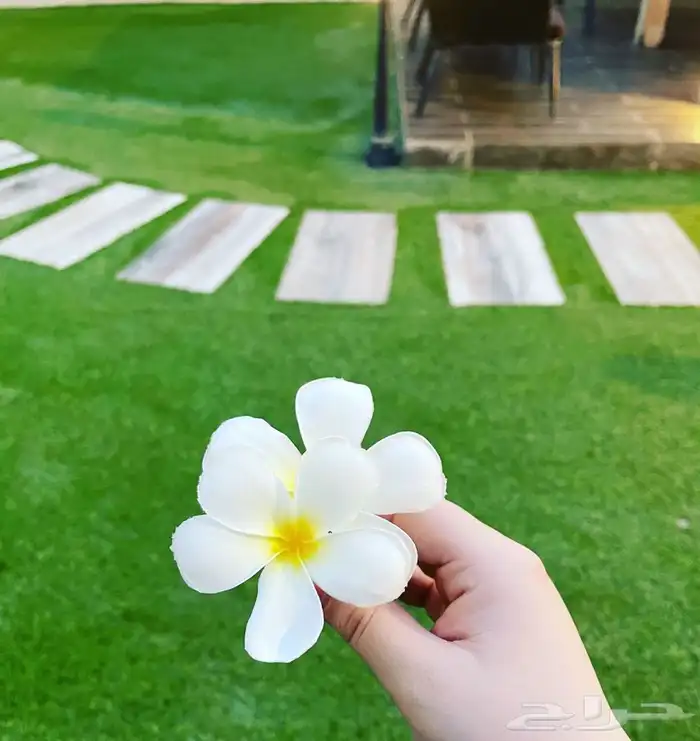 استراحة وشاليهات في ابحر الشمالية 0