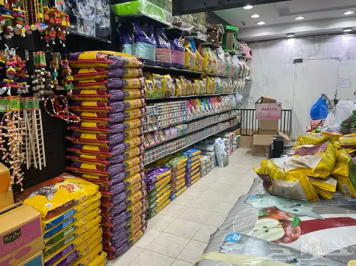 قطه وطير لبيع مستلزمات طيور الزينه والقطط ( سوق الطيور) 0
