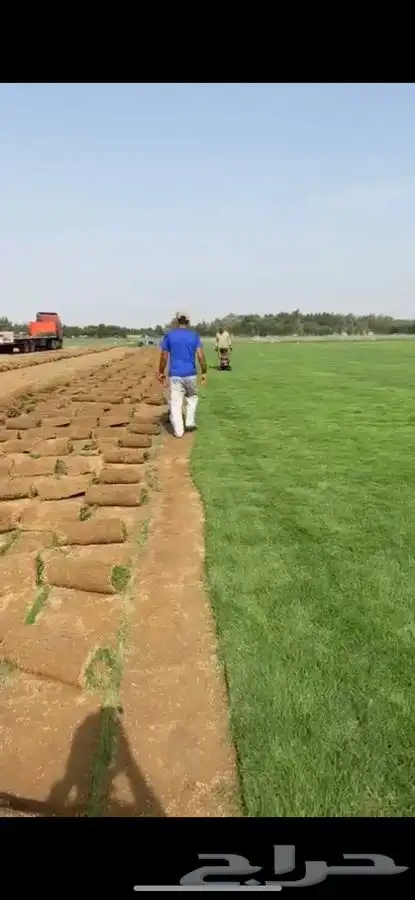 نجيله ثيل طبيعي سي 2000 -   مضمون مياه ابار 3