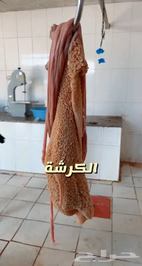 ذبايح حرية وتيوس وسواكني بلدي لحد بيتك وانت مرتاح 5