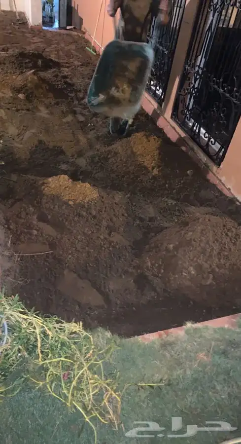 نجيله ثيل طبيعي سي 2000 -   مضمون مياه ابار 16