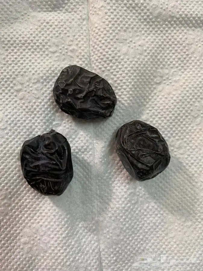 عجوة عالية المدينه وانواع التموور 17