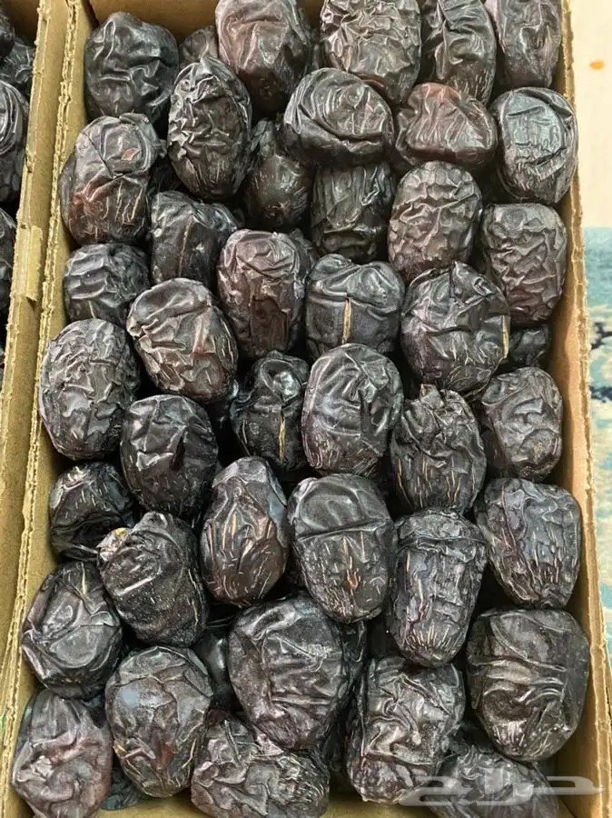 عجوة عالية المدينه وانواع التموور 15