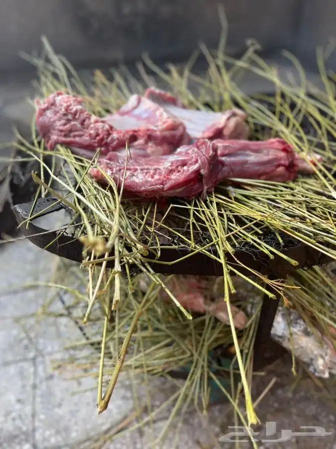 ذبايح حرية وتيوس وسواكني بلدي لحد بيتك وانت مرتاح 25