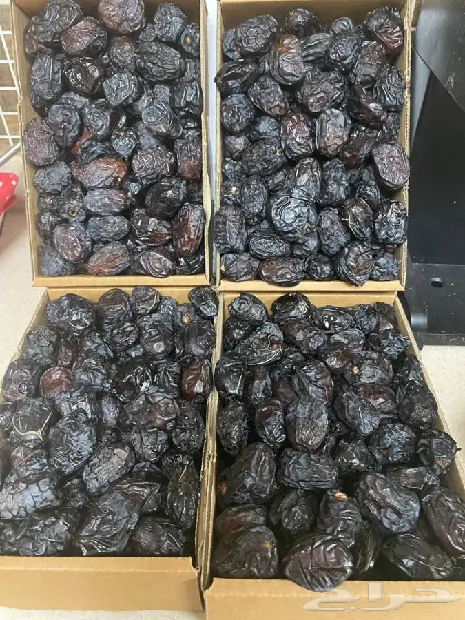 قهوه هرري باشنفر 1