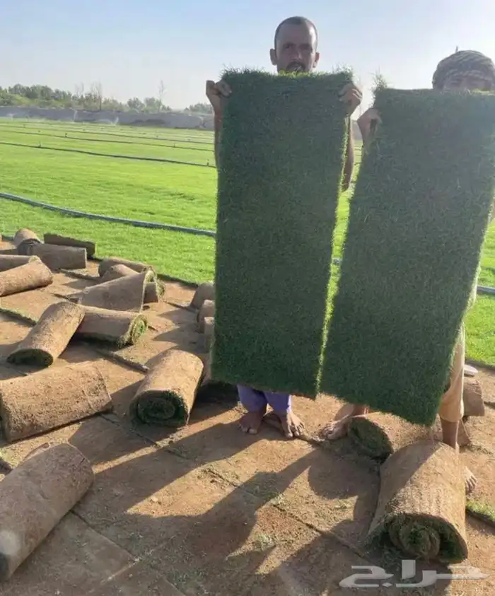 نجيله ثيل طبيعي سي 2000 -   مضمون مياه ابار 2