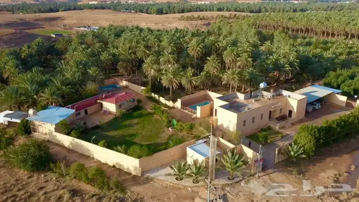 مزرعة ومسبح و مبيت للايجار اليومي بسدير 15