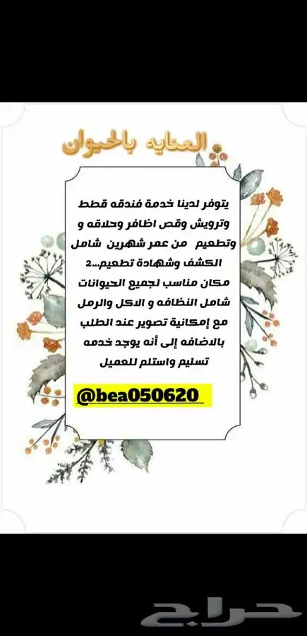 كشاف فطريات قطط وجميع مستلزمات الحيوانات 8