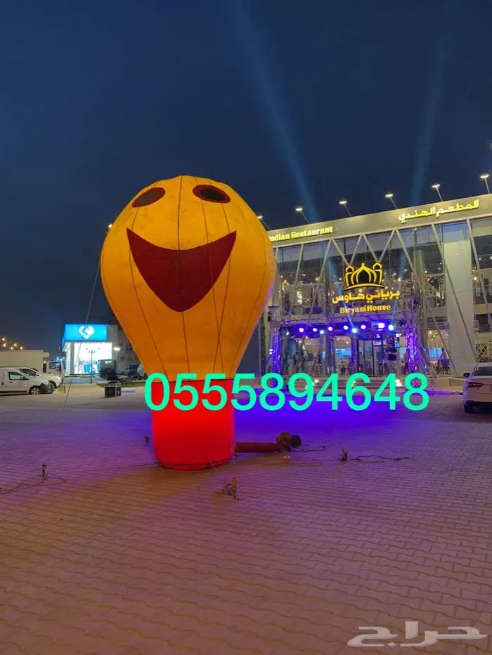 بيع و تاجير اضاءة اليوم الوطني 56