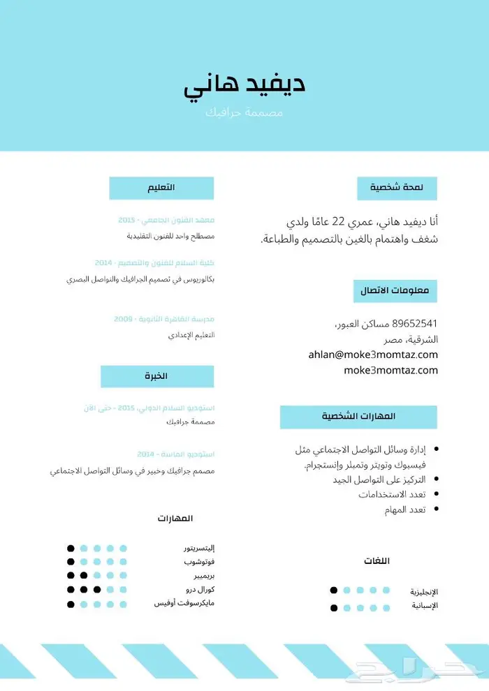 سيرة ذاتية Cv - تصميم و تعديل سيرة ذاتية 3