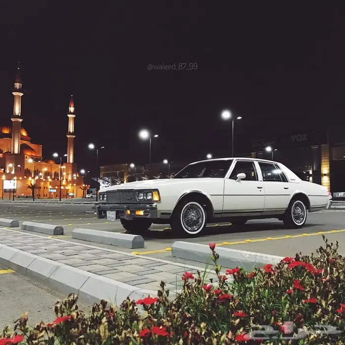 كابرس 1979 ((مخزن تم البيع)) 0