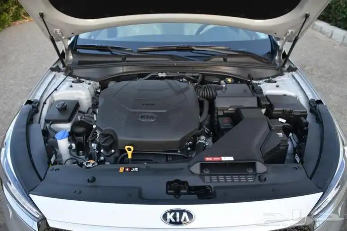 كيا كادينزا فل كامل2019جديده اصفار (مباعه) 43