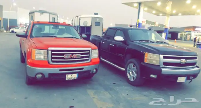 نقل خيل داخل الشرقية الدمام - الحسا -الجبيل - المستشفى 0