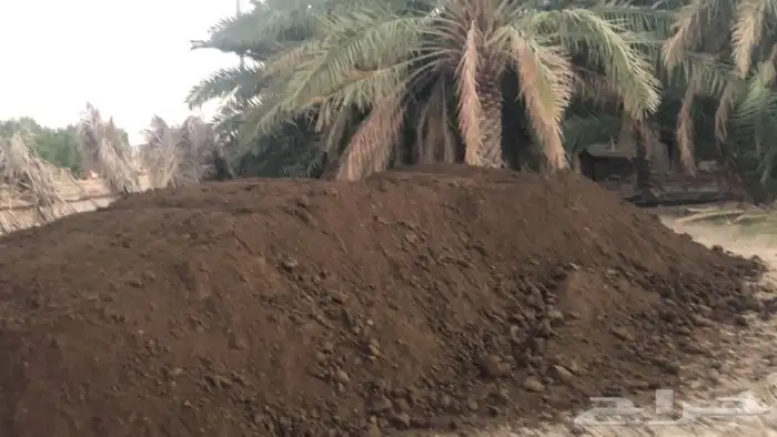 يوجد لدينا توريد رمل سماد بانواعه حجر بنوعها 5