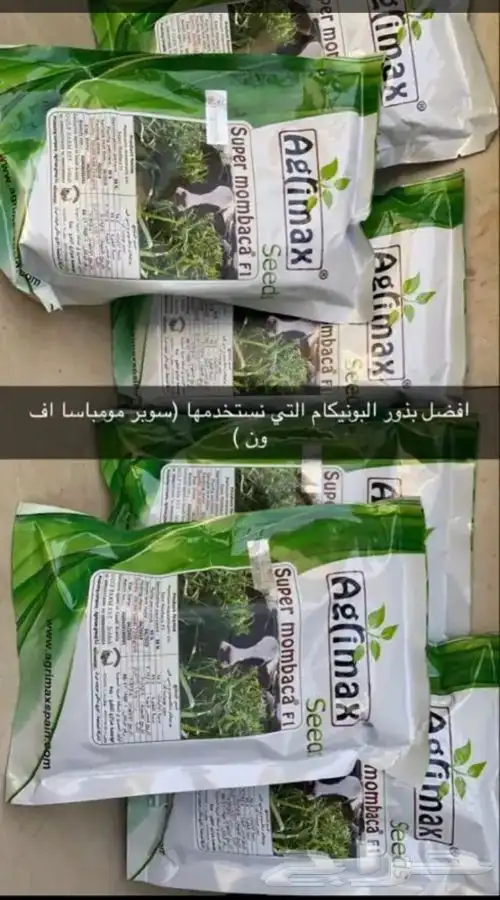 شتلات بونيكام إسباني بومباسا F1 8