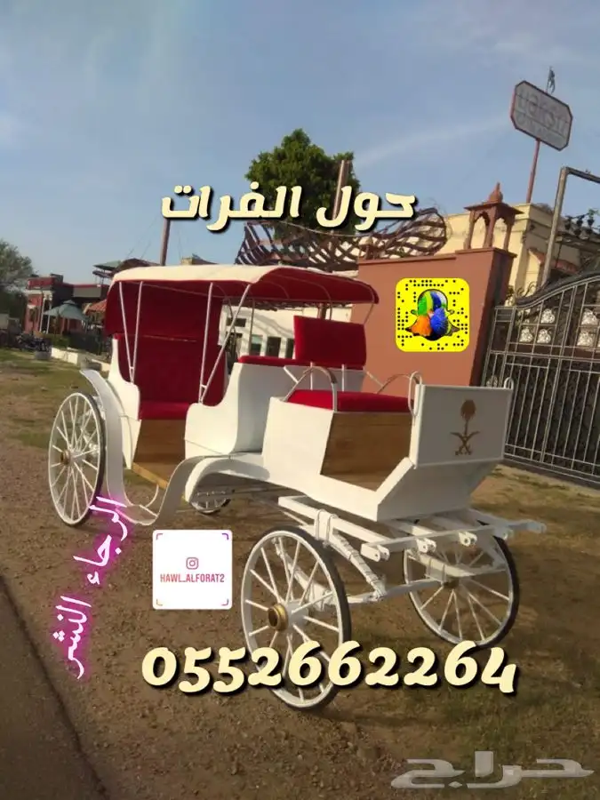 حنطور كهرب و حنطور خيل ( عربة خيل ) 4