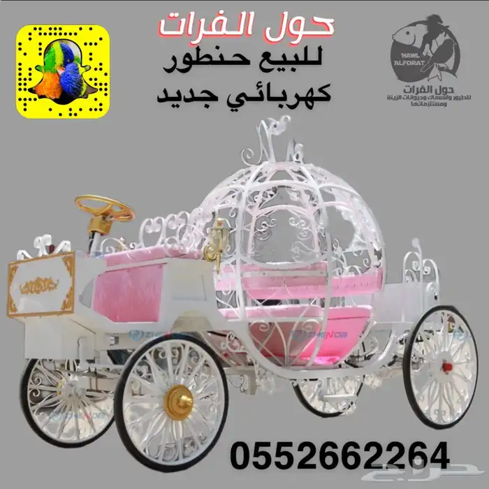حنطور كهرب و حنطور خيل ( عربة خيل ) 0