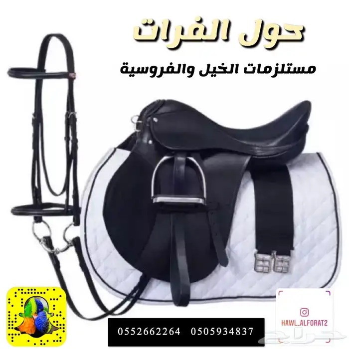 حنطور كهرب و حنطور خيل ( عربة خيل ) 6